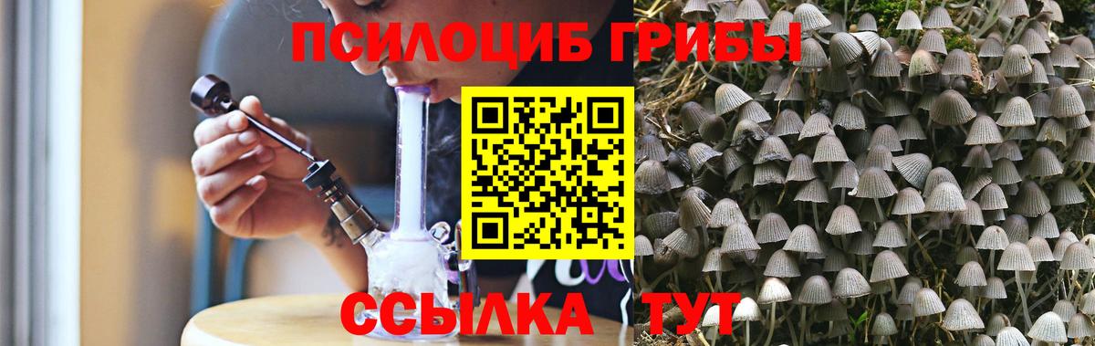 Бузулук  Псилоцибиновые грибы Magic Shrooms  Вход с VPN 